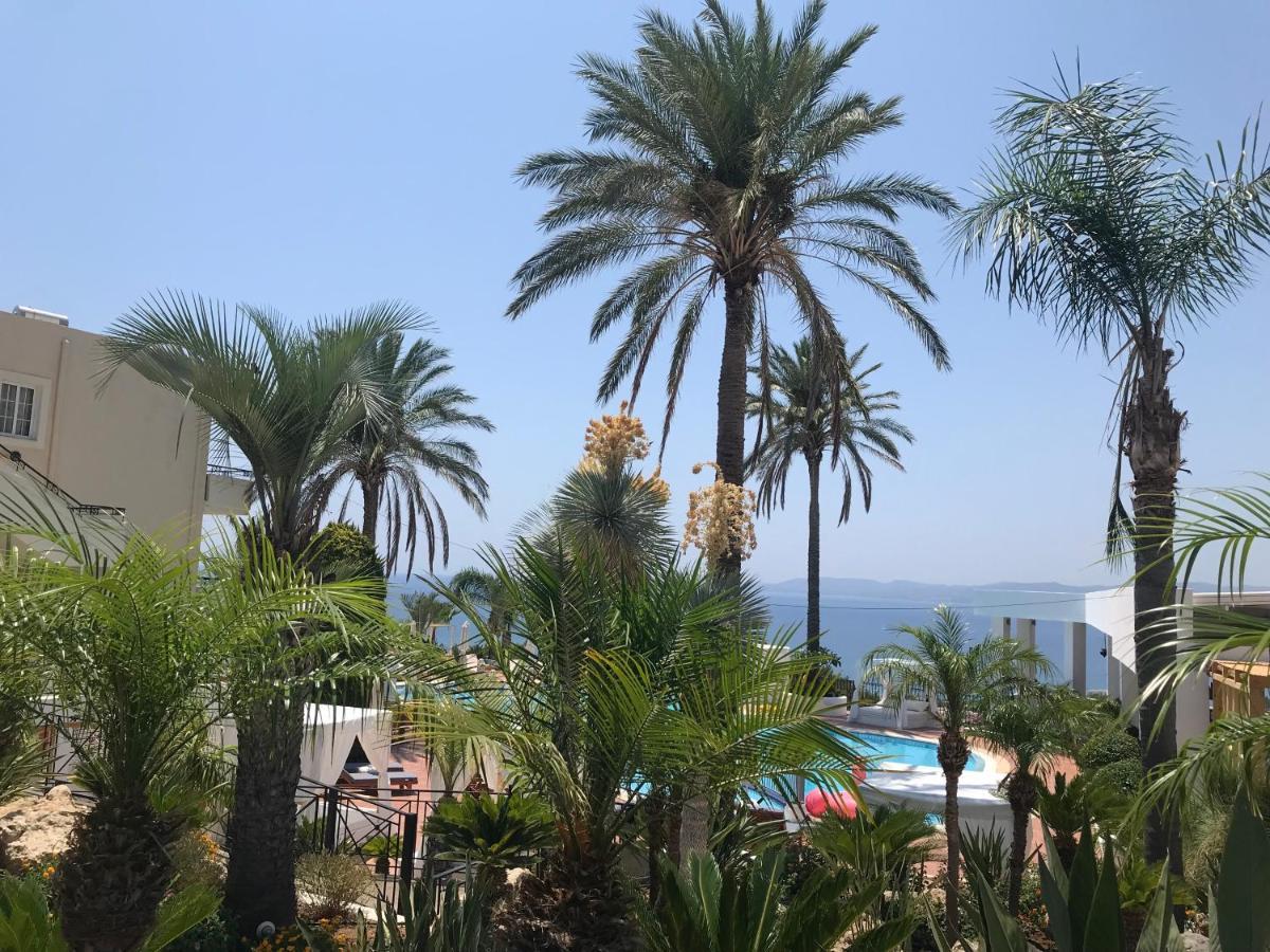 Pefkos Blue Pefki